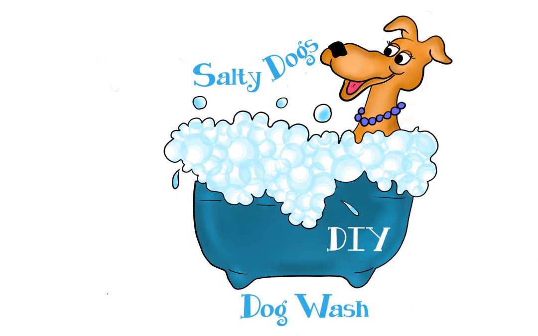 salty dog wash diy