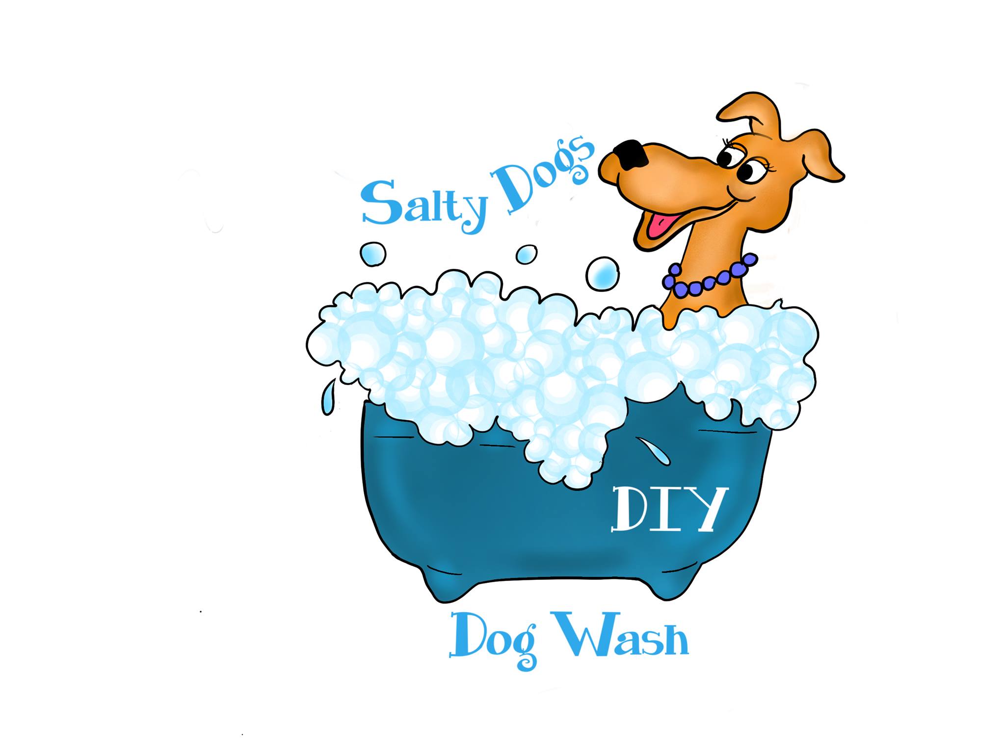 salty dog wash diy
