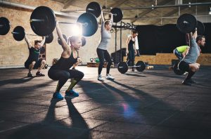 Own a Proven Fitness Model