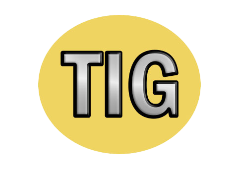 Therapist International Group-logo
