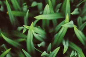 blog 2
