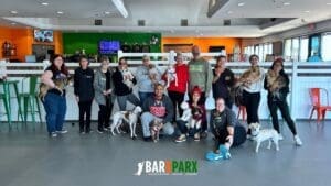 Barx Parx 15