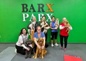 Barx Parx 18