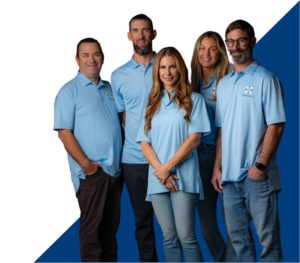 mp website shot 1