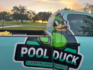 Pool Duck 6904bc1f940f284aa5c6be9e SunsetDucksblur p 1080